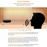 Centralized Control Voice Controller