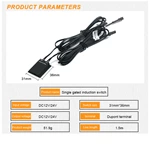 Single Gated Induction Switch