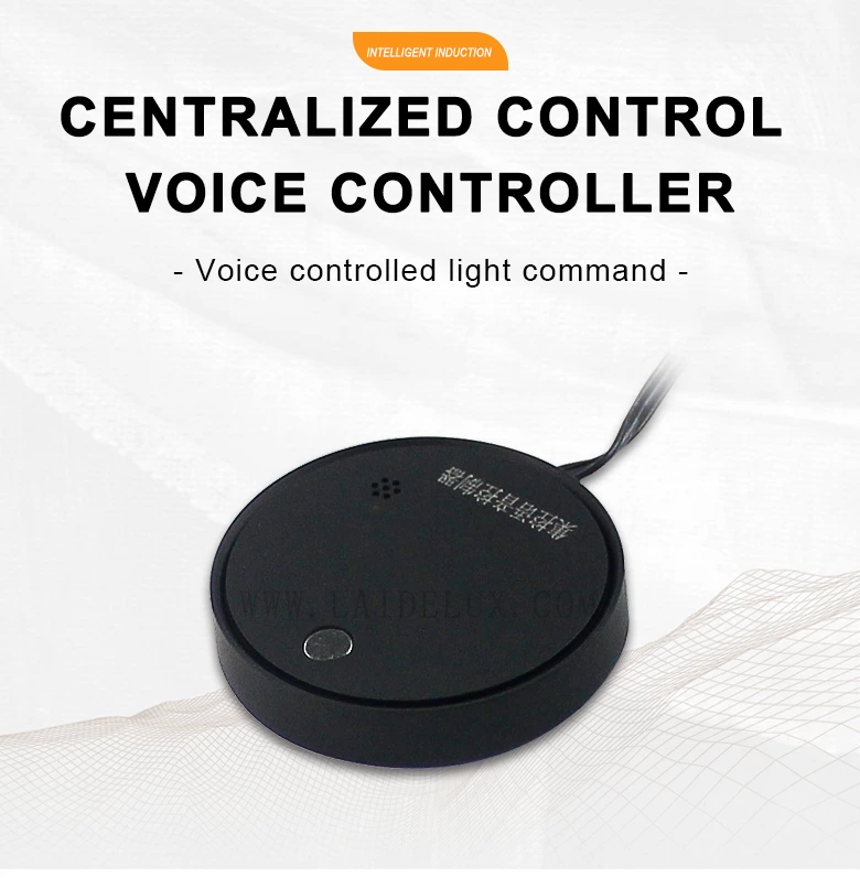 Centralized Control Voice Controller