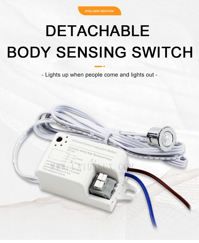 Removable Human Body Induction Switch