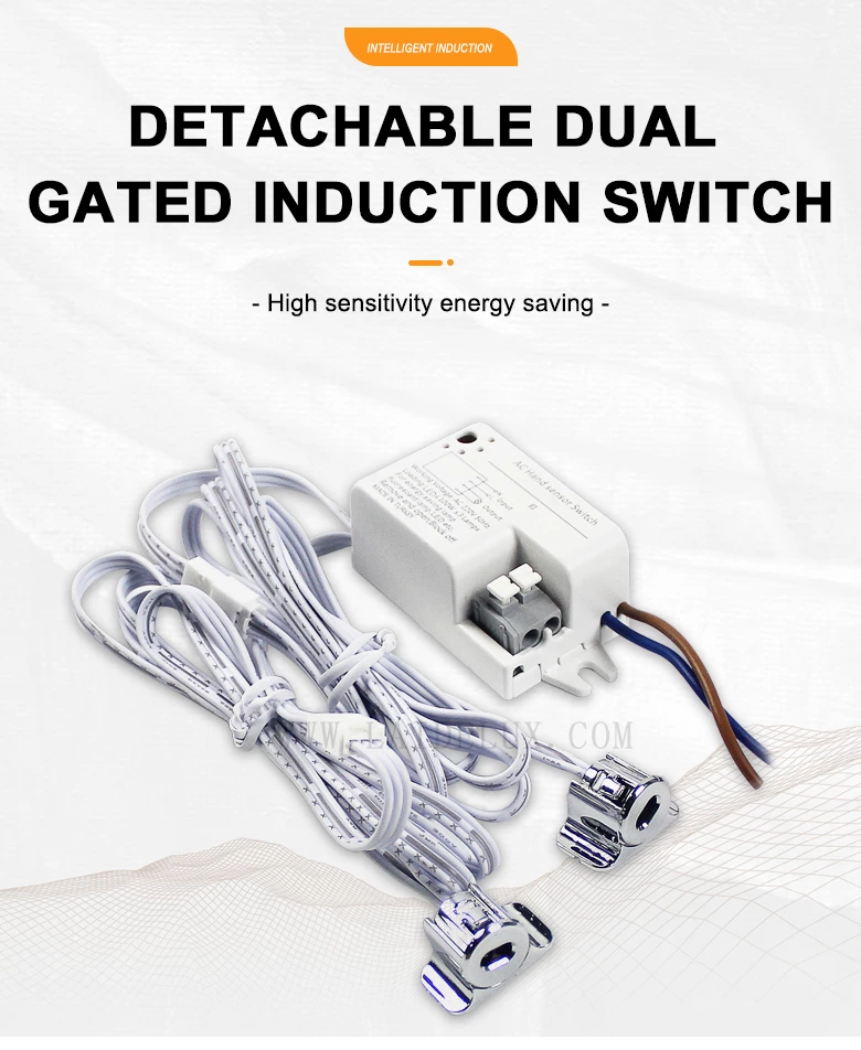 Detachable Dual Gated Induction Switch