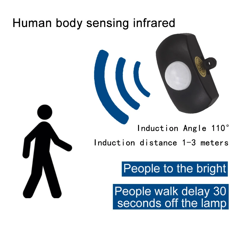 Human Body Induction Ambry Switch