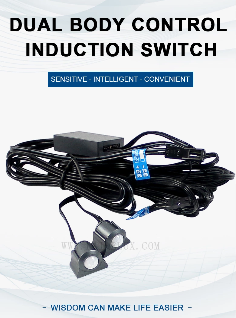 Dual Body Control Induction Switch