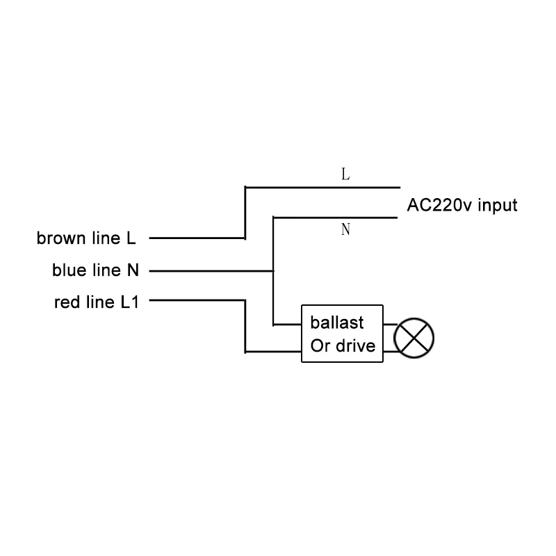 Suction Top Human Body Induction Switch