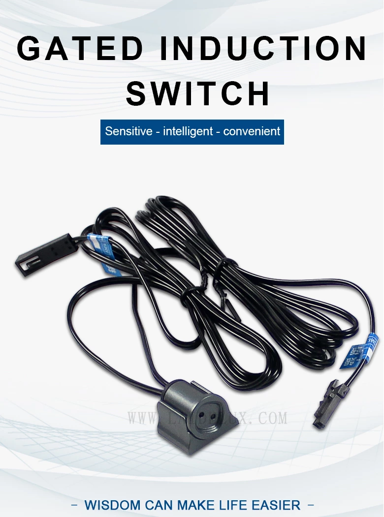 Gated Induction  Switch