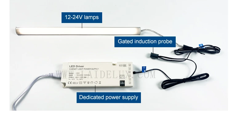 Gated Induction  Switch