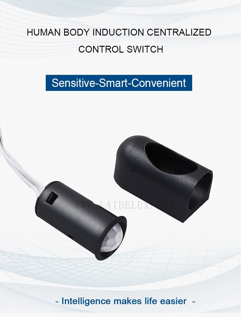 Human Body Induction Centralized Control Switch