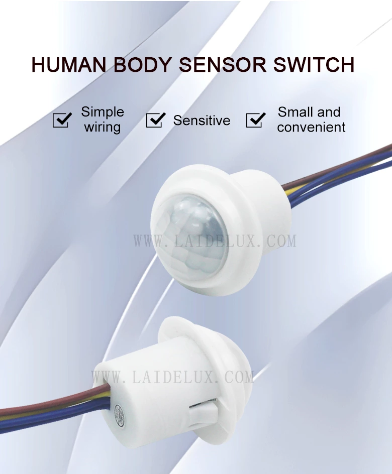 Smart Pir Infrared Human Body Sensor Switch