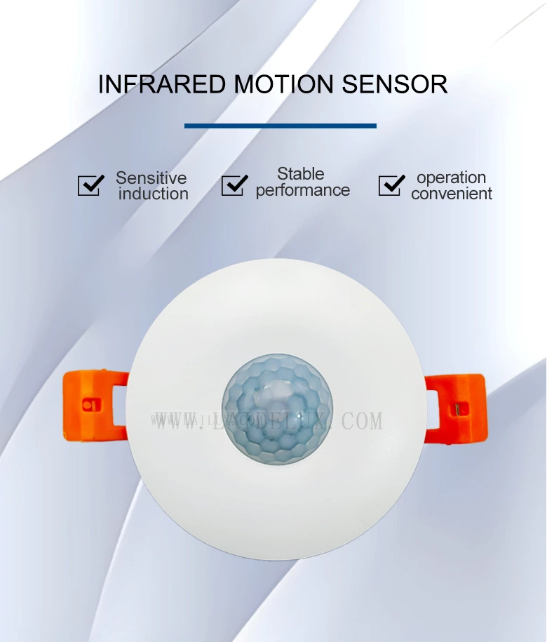 Infrared Motion Sensor（In disguise）