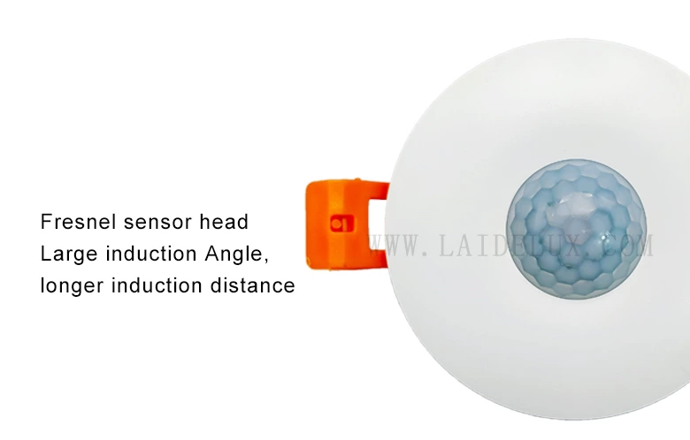 Infrared Motion Sensor（In disguise）