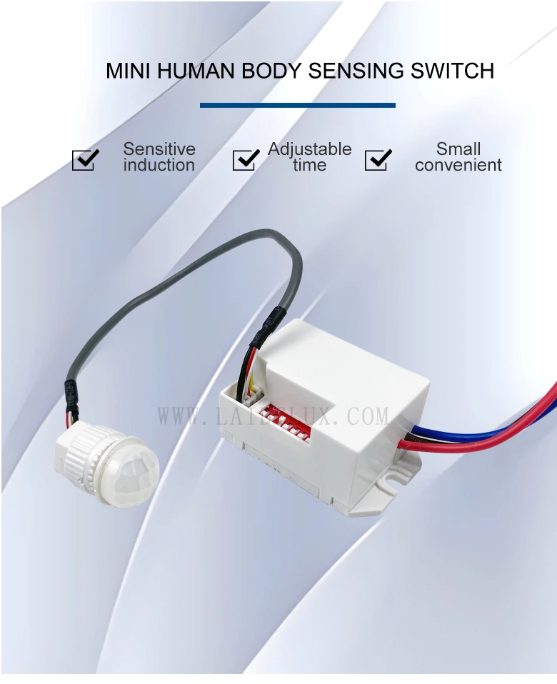 Mini Human Body Sensing Switch