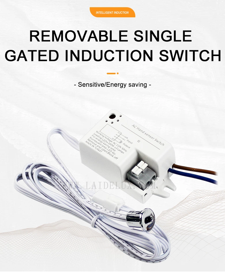 Removable Single  Gated Induction Switch