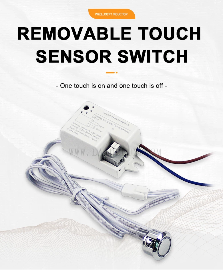 Removable Touch Sensor Switch