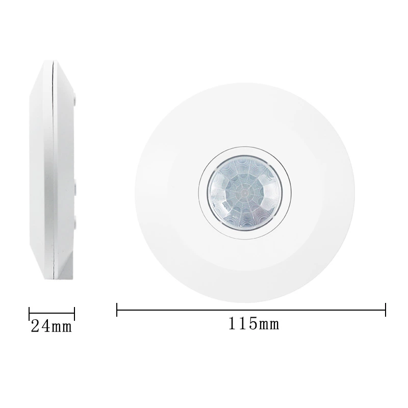 Infrared Motion Sensor