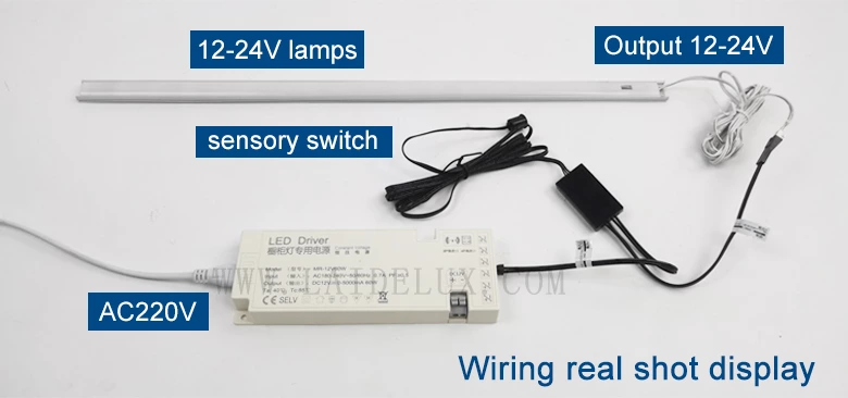 Single Door Sensor Switch