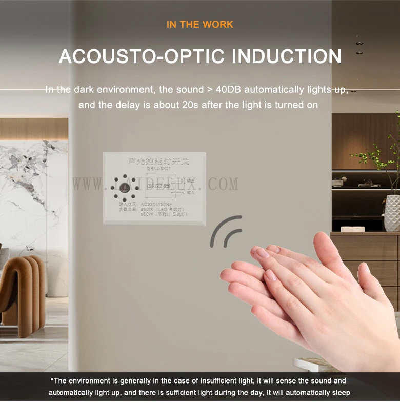 Acousto-optic Delay Switch