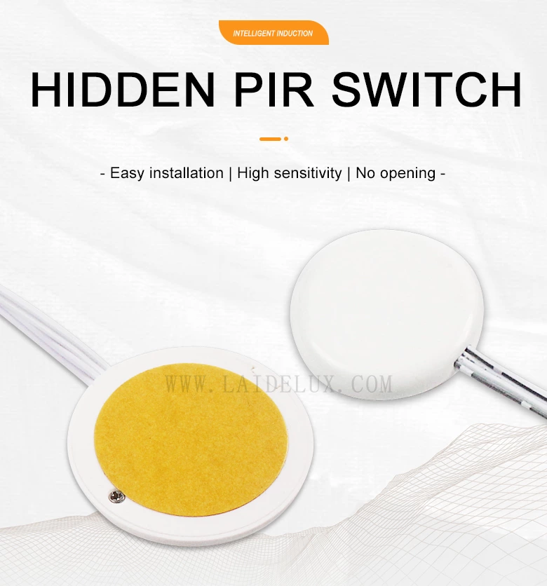 Hidden Pir Switch