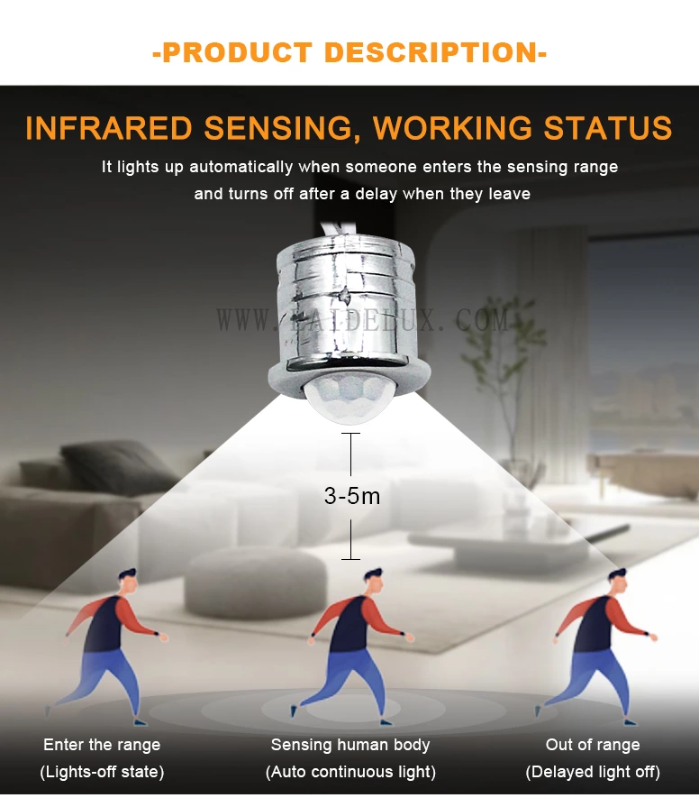 AC220V Human Body Sensor Switch（Detachable ）