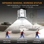 AC220V Human Body Sensor Switch（Detachable ）