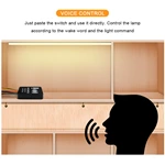 English Russian Dual Color Square Voice Controller