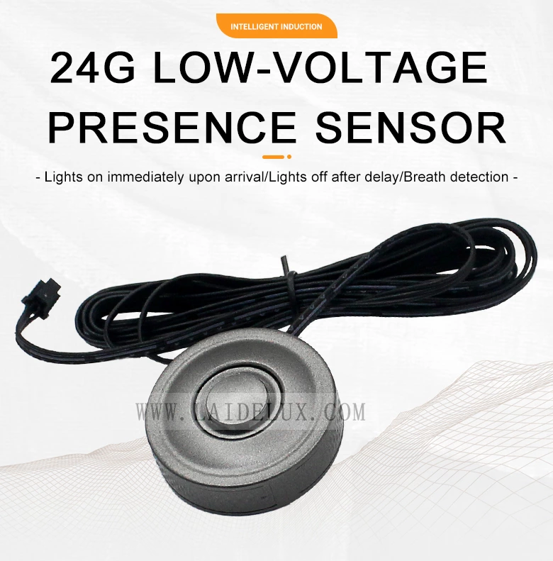 24G Low-voltage presence sensor