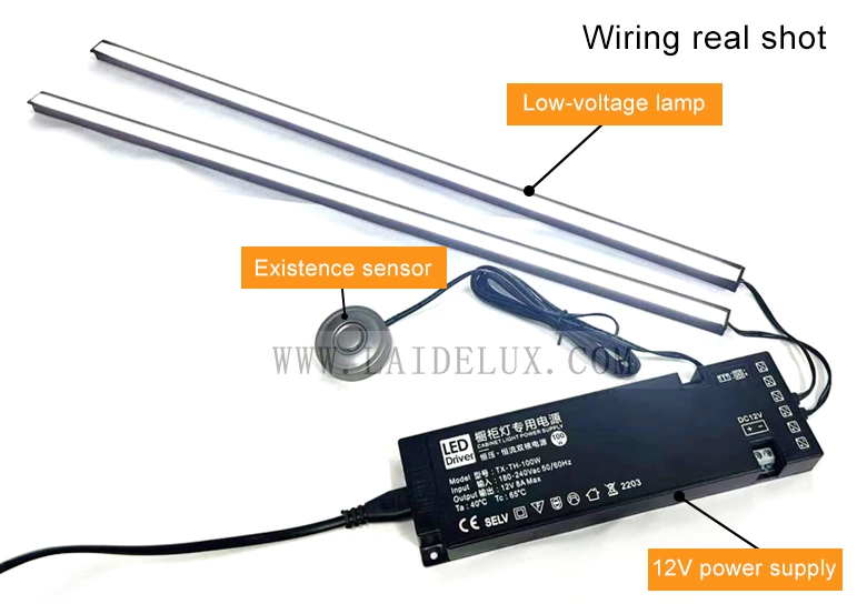 24G Low-voltage presence sensor