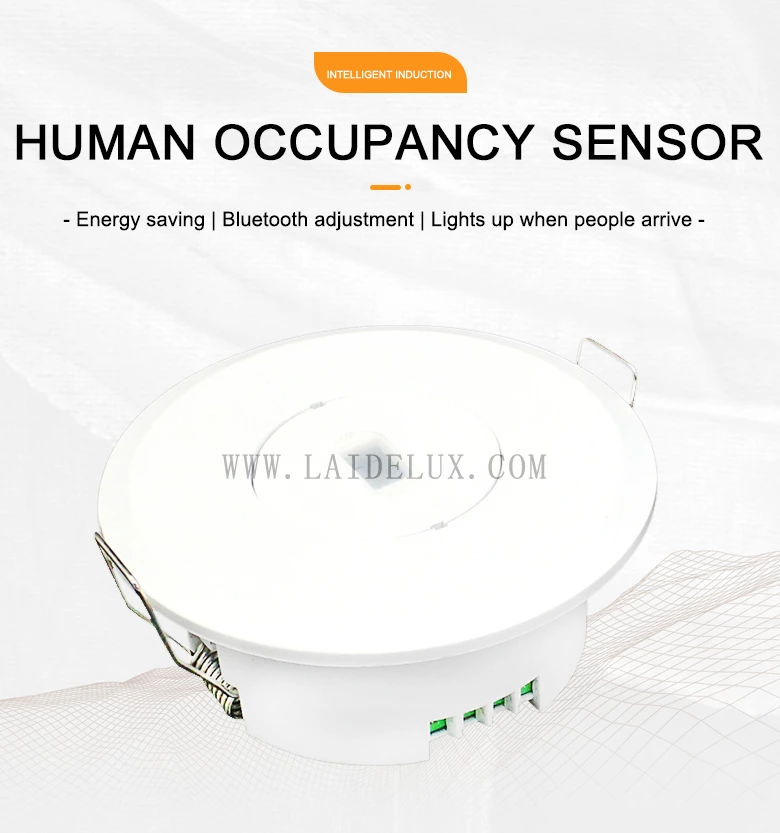 24G Radar Sensor Presence Detection