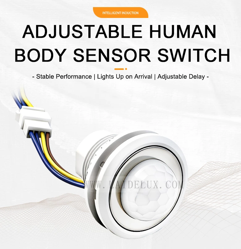 Human Body Infared Motion Sensor Detector