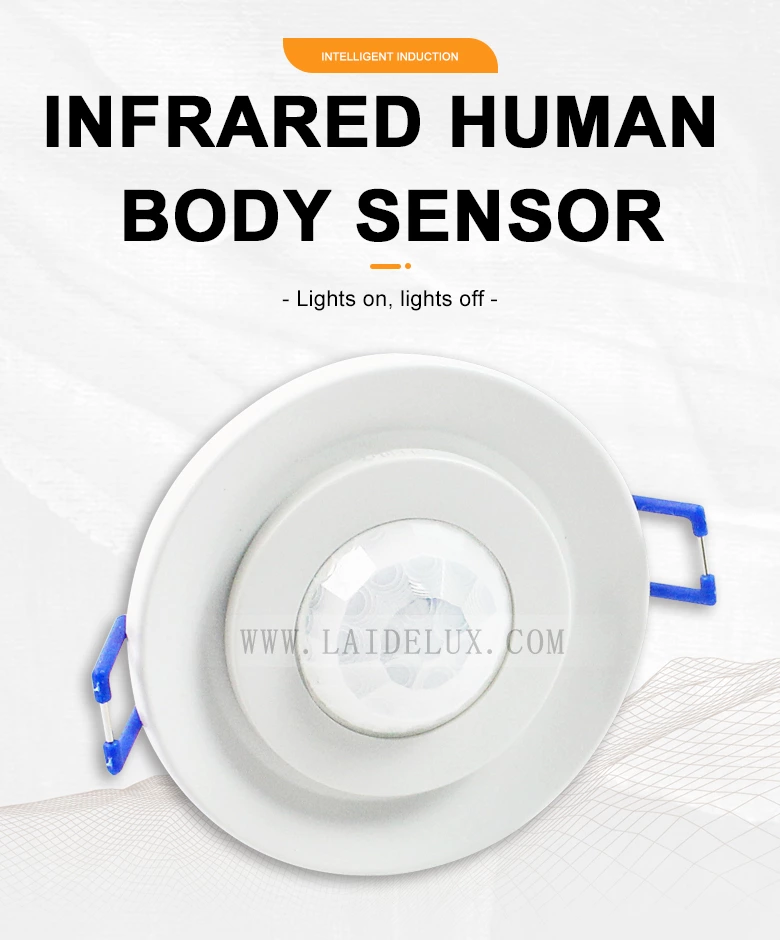 Human Body Motion Sensor Detector