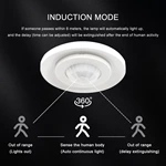 Human Body Motion Sensor Detector