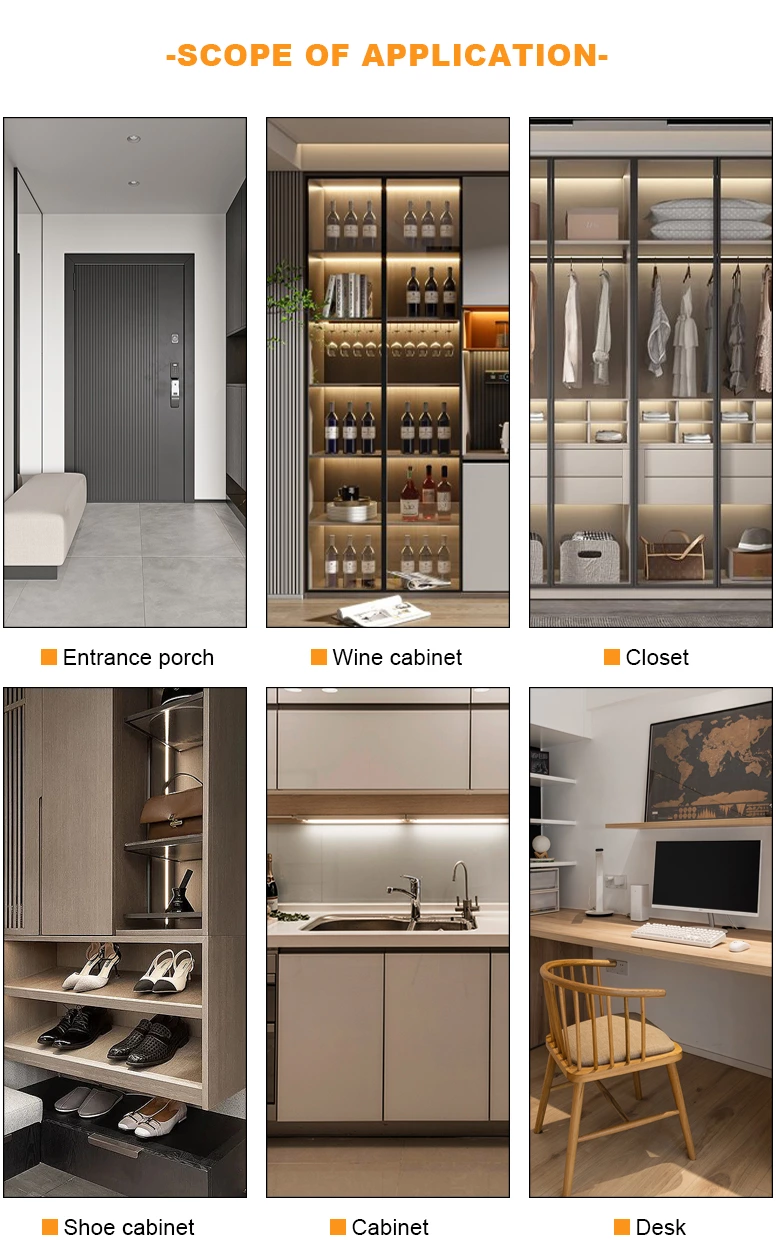 AC220V Ultra thin double door switch