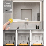 2-Button Single-Color Radar Mirror Switch